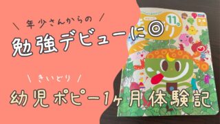 勉強嫌いの入口に最適だった｜幼児ポピー「きいどり」1ヶ月体験談（進みすぎ対策つき）