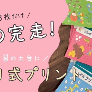実録】七田式プリントA〜D完走｜高いけど買ってよかった。“3枚だけ”で